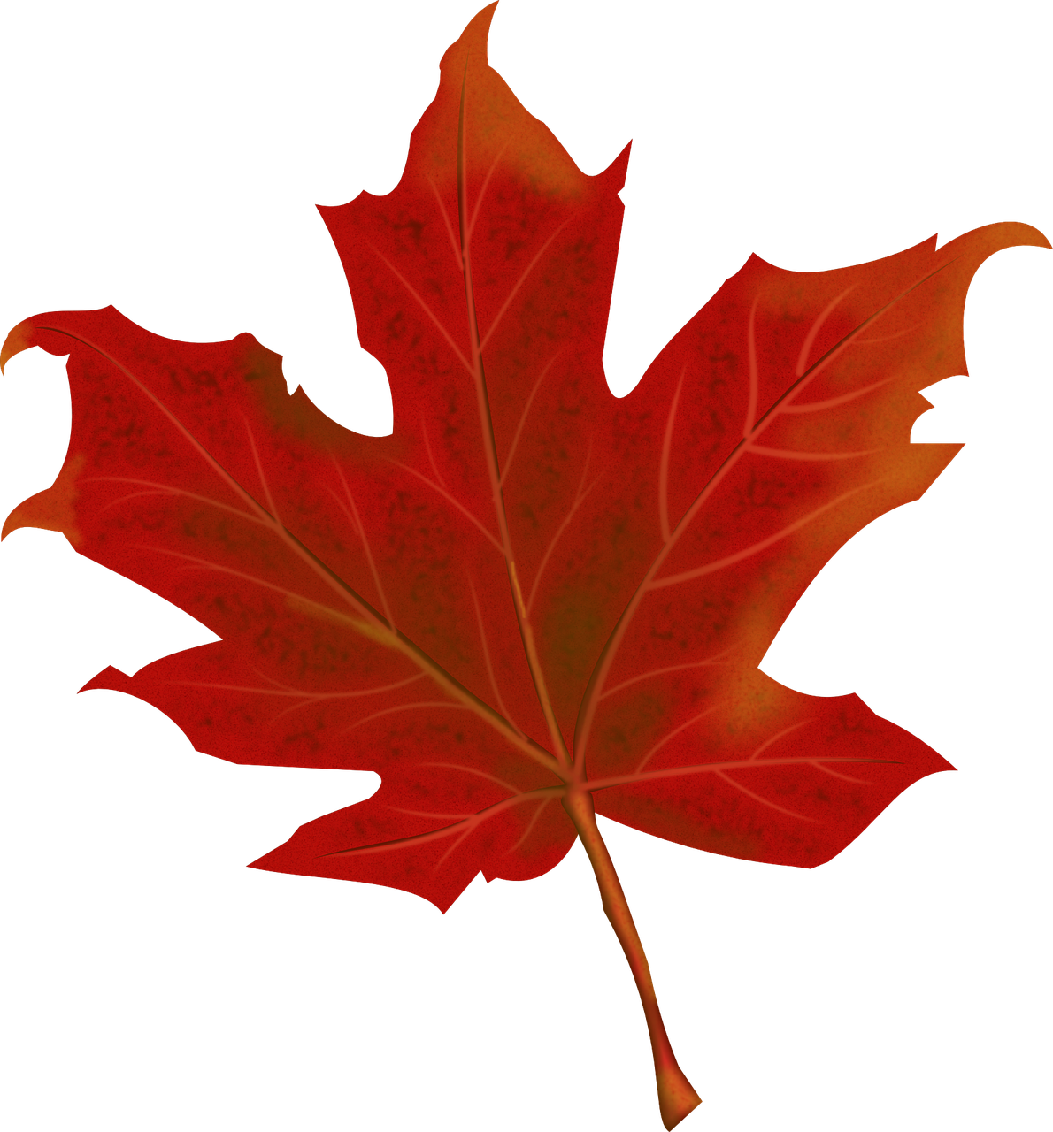 leaf-gb48e91d62_1280.png